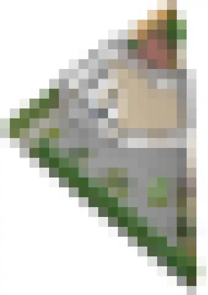 Frits Diepenlaan 2 Den Haag thumbnail 50