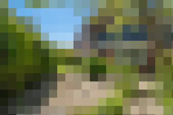 Frits Diepenlaan 2 Den Haag thumbnail 6