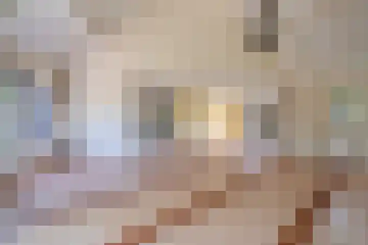 Frits Diepenlaan 2 Den Haag thumbnail 8