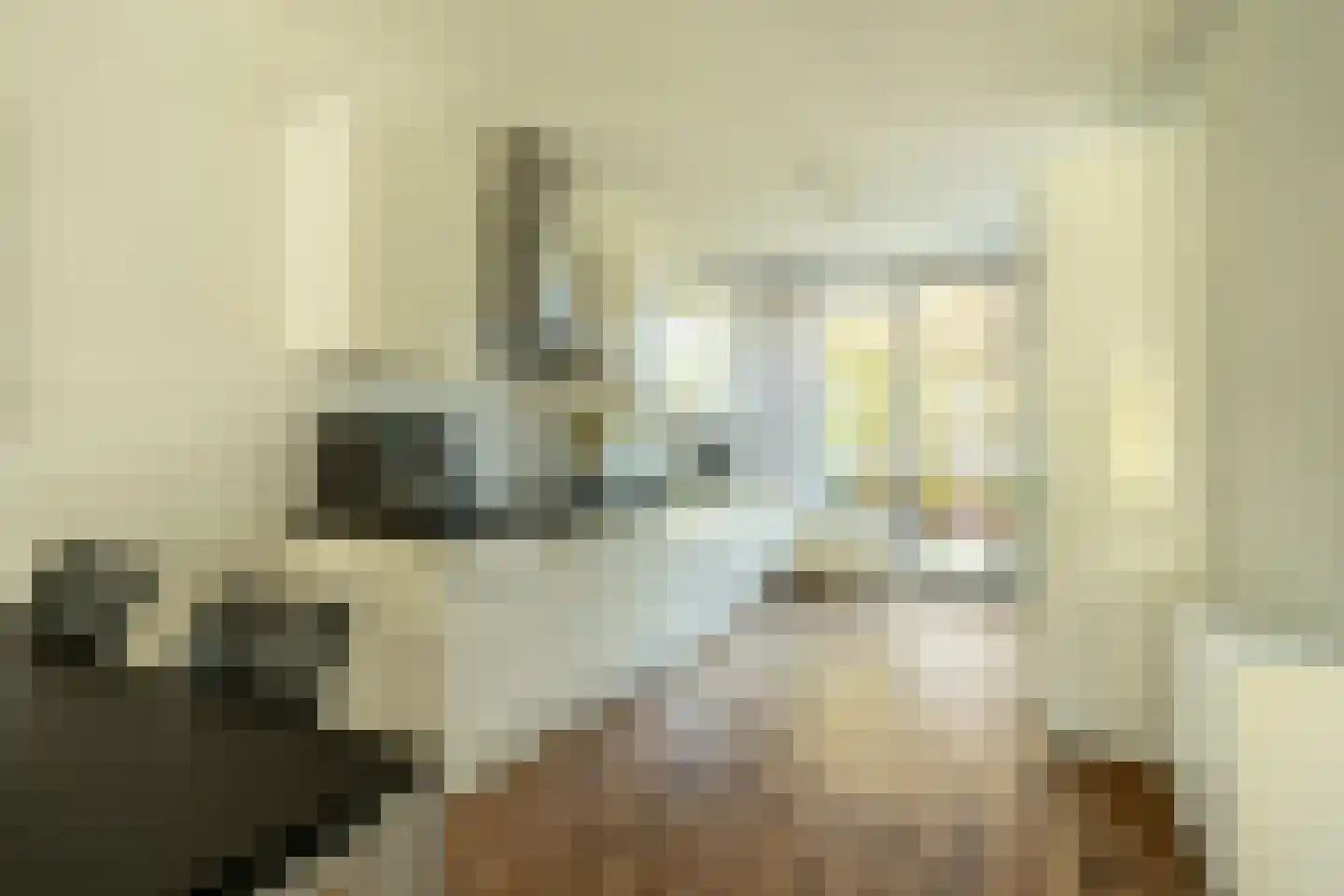 Frits Diepenlaan 23 Den Haag thumbnail 11