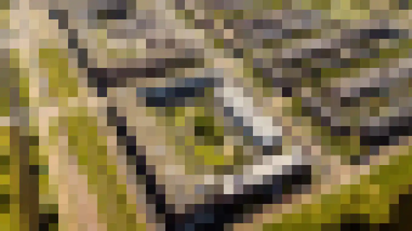 Frits Diepenlaan 23 Den Haag thumbnail 35