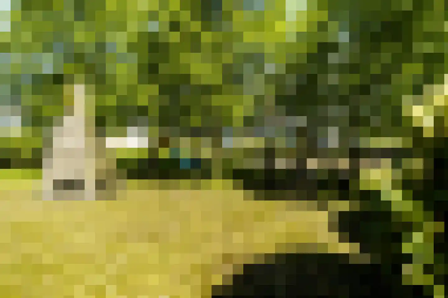 Frits Diepenlaan 23 Den Haag thumbnail 37
