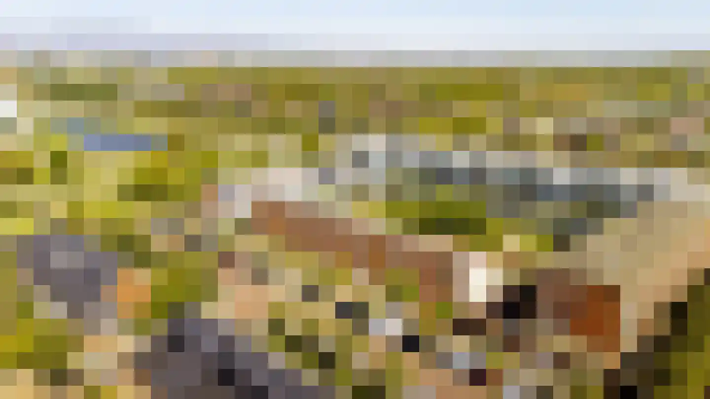 Frits Diepenlaan 23 Den Haag thumbnail 43