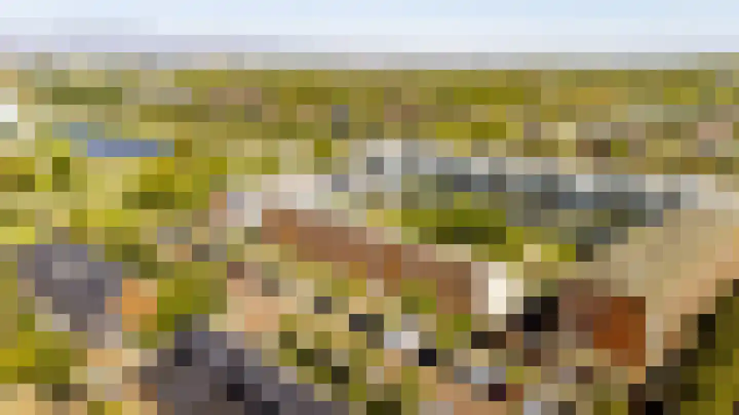 Frits Diepenlaan 23 Den Haag thumbnail 5