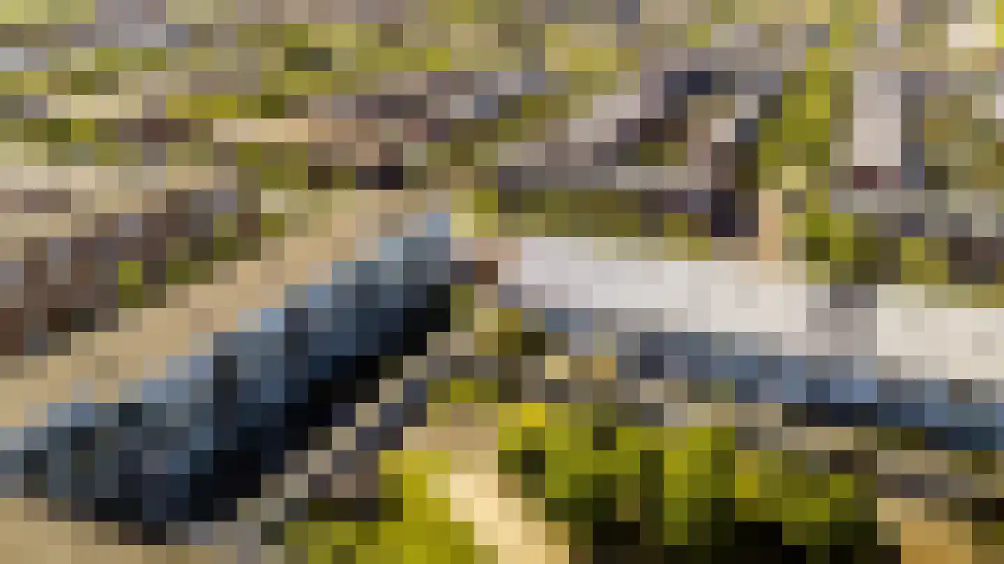 Frits Diepenlaan 23 Den Haag thumbnail 6