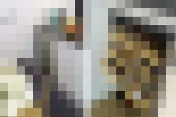 Frits Diepenlaan 66 Den Haag thumbnail 16