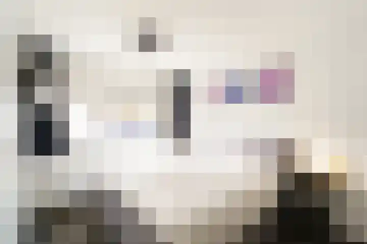 Frits Diepenlaan 66 Den Haag thumbnail 17