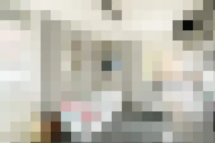 Frits Diepenlaan 66 Den Haag thumbnail 22