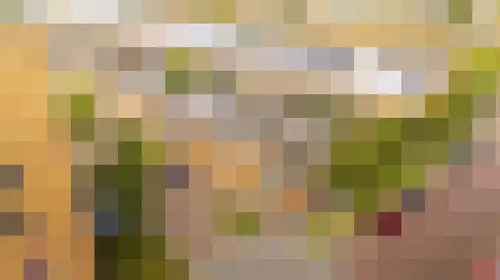 Frits Diepenlaan 66 Den Haag thumbnail 33