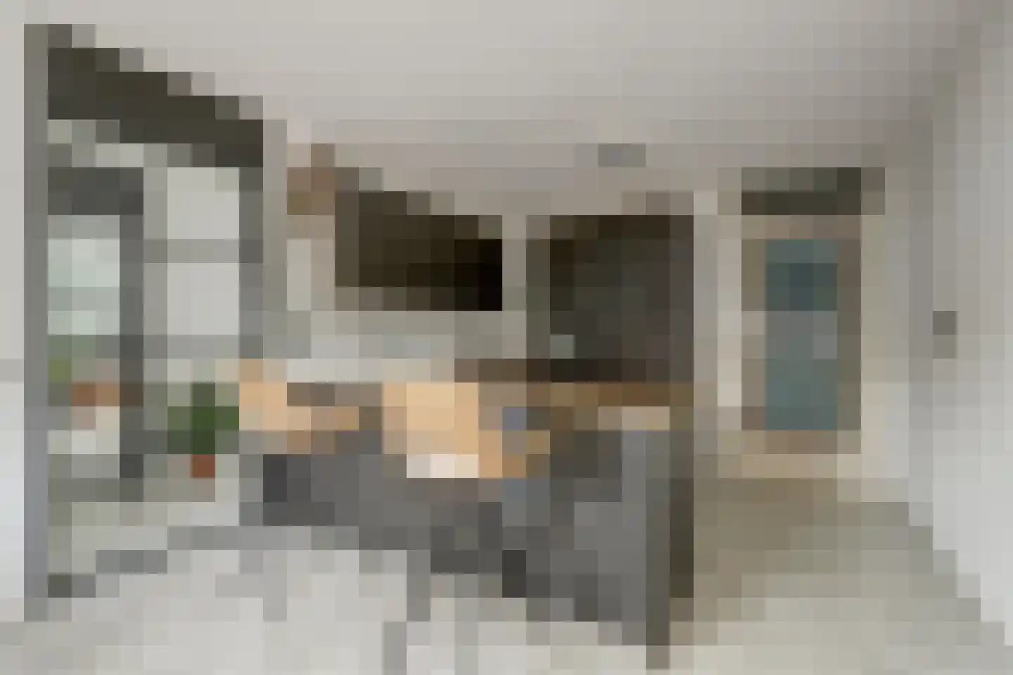 Frits Diepenlaan 68 Den Haag thumbnail 20