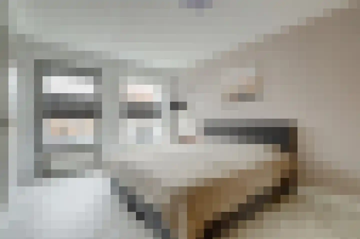 Frits Diepenlaan 68 Den Haag thumbnail 25