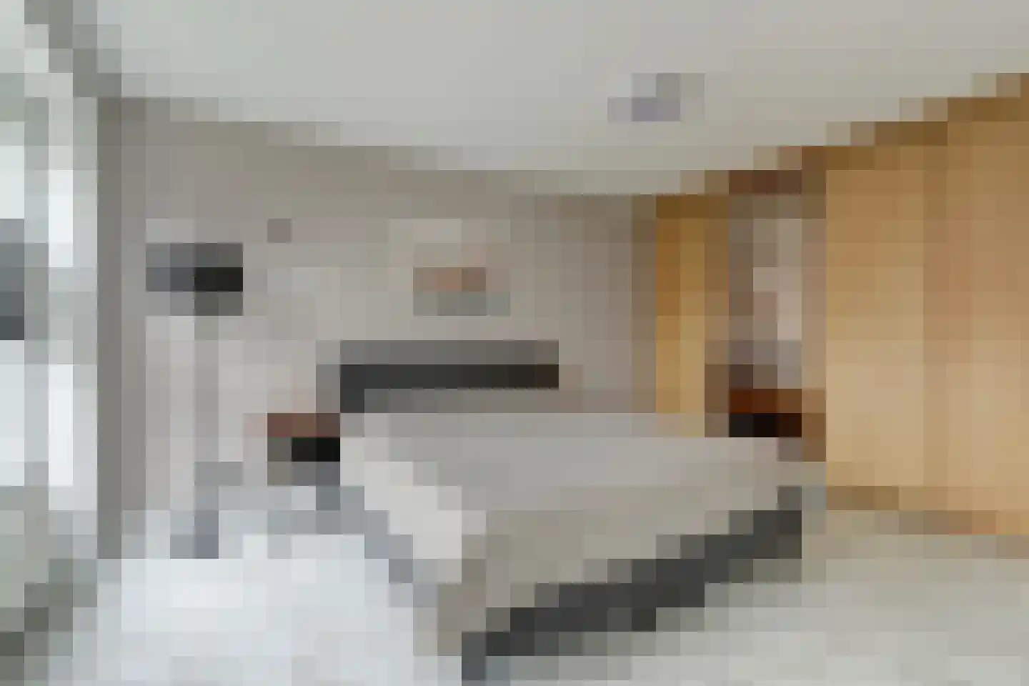 Frits Diepenlaan 68 Den Haag thumbnail 27