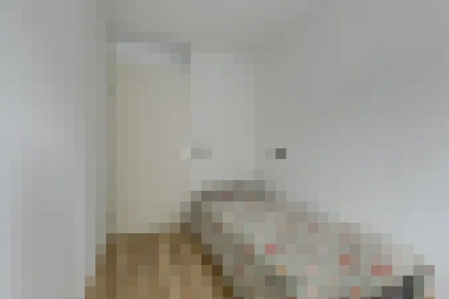 Frits Diepenlaan 68 Den Haag thumbnail 37