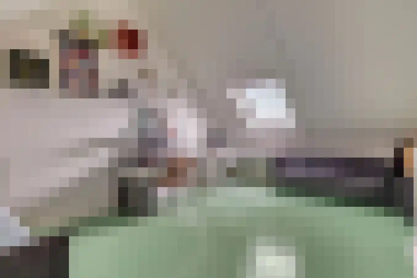 Frits Koolhovenweg 11 Soesterberg thumbnail 24