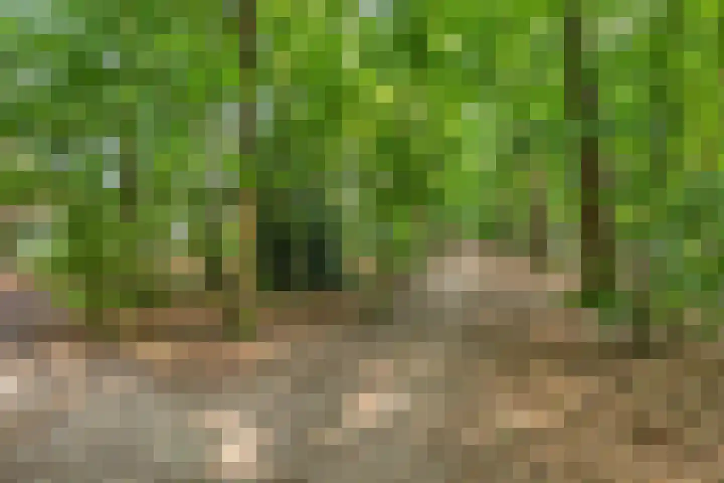 Frits Koolhovenweg 11 Soesterberg thumbnail 31