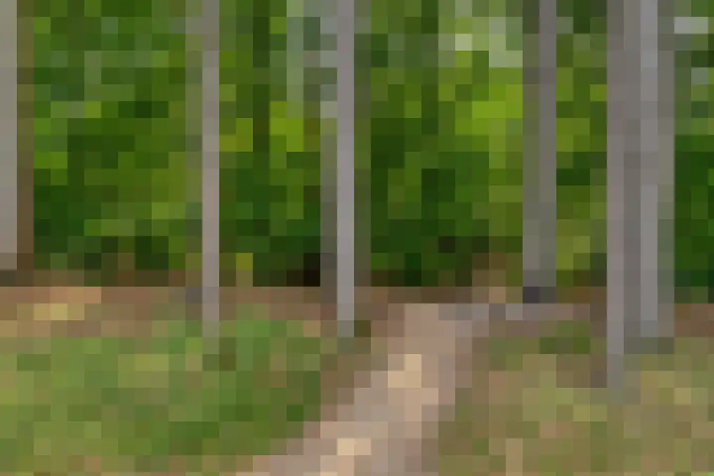 Frits Koolhovenweg 11 Soesterberg thumbnail 32