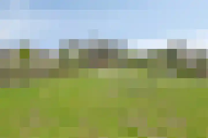 Frits Koolhovenweg 19 Soesterberg thumbnail 33