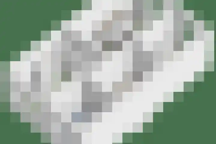 Frits Koolhovenweg 19 Soesterberg thumbnail 35