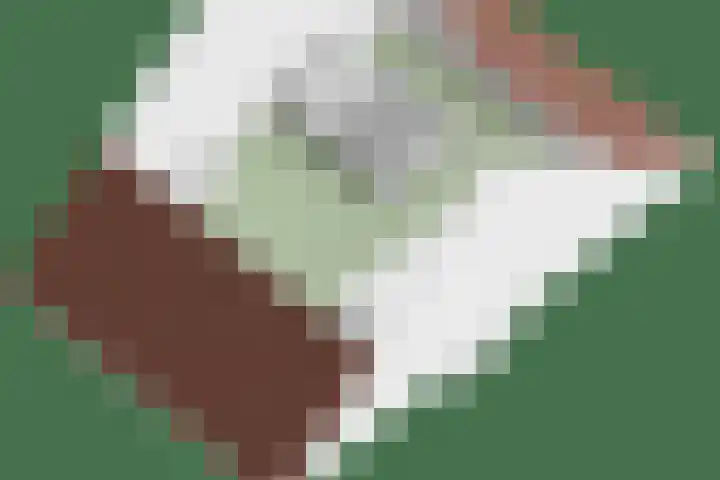 Frits Koolhovenweg 19 Soesterberg thumbnail 36