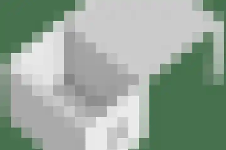 Frits Koolhovenweg 19 Soesterberg thumbnail 37