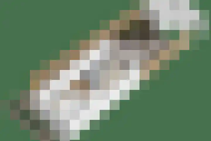 Frits Koolhovenweg 19 Soesterberg thumbnail 38
