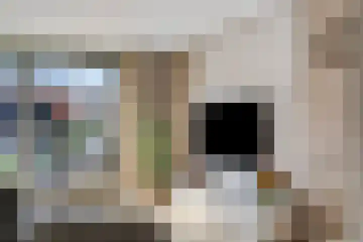 Frits Koolhovenweg 19 Soesterberg thumbnail 8