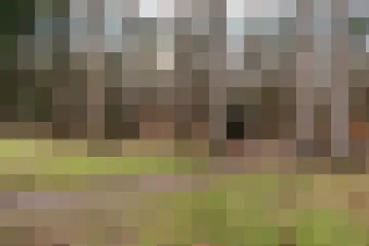 Frits Koolhovenweg 41 Soesterberg thumbnail 45