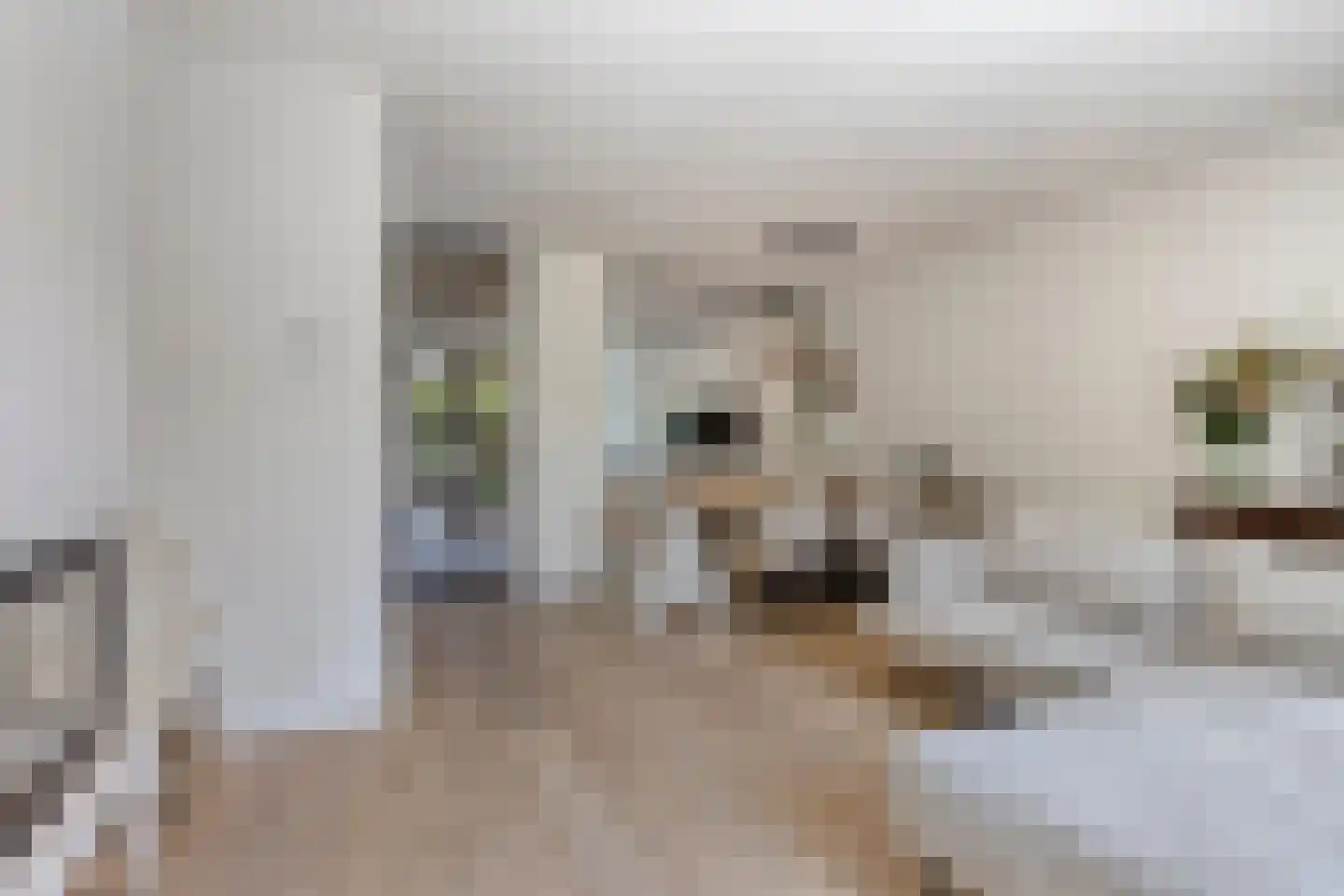 Frits Koolhovenweg 49 Soesterberg thumbnail 10