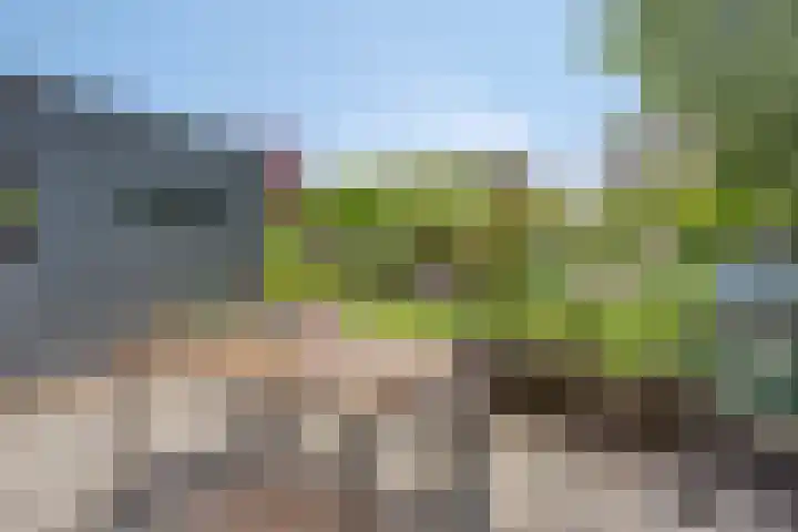 Frits Koolhovenweg 49 Soesterberg thumbnail 37