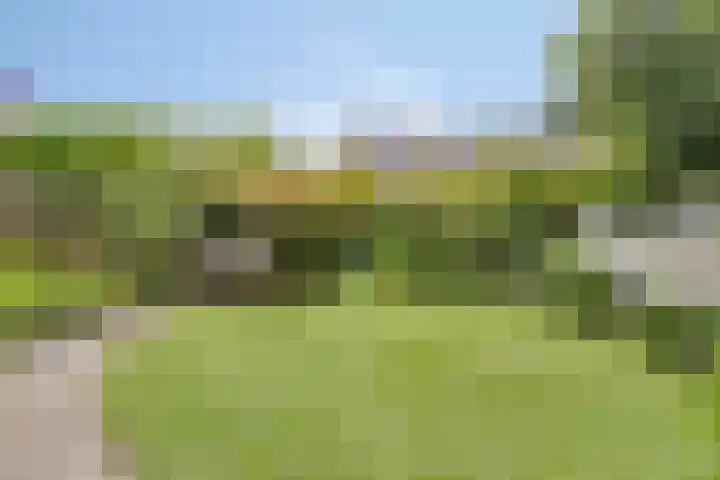 Frits Koolhovenweg 49 Soesterberg thumbnail 38