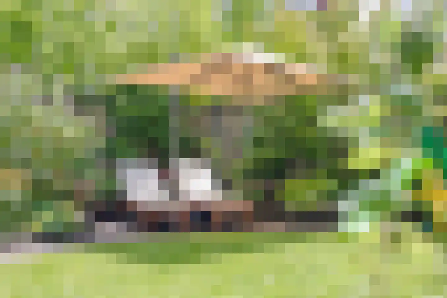 Frits Koolhovenweg 49 Soesterberg thumbnail 39