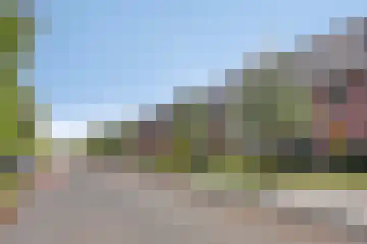 Frits Koolhovenweg 49 Soesterberg thumbnail 45