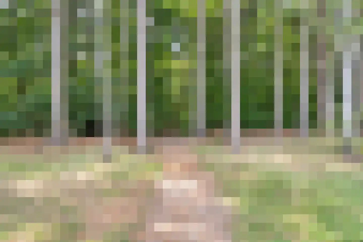 Frits Koolhovenweg 49 Soesterberg thumbnail 46