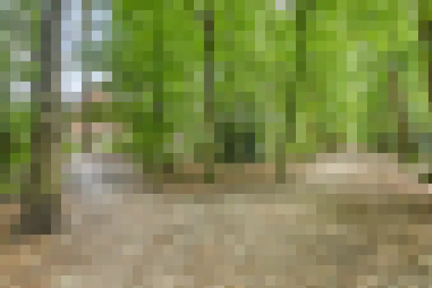 Frits Koolhovenweg 49 Soesterberg thumbnail 47