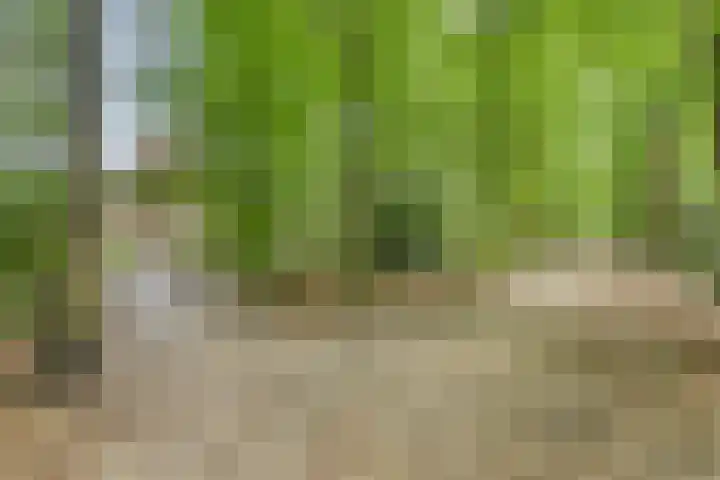 Frits Koolhovenweg 49 Soesterberg thumbnail 47