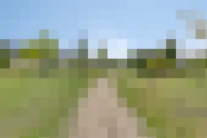 Frits Koolhovenweg 49 Soesterberg thumbnail 48