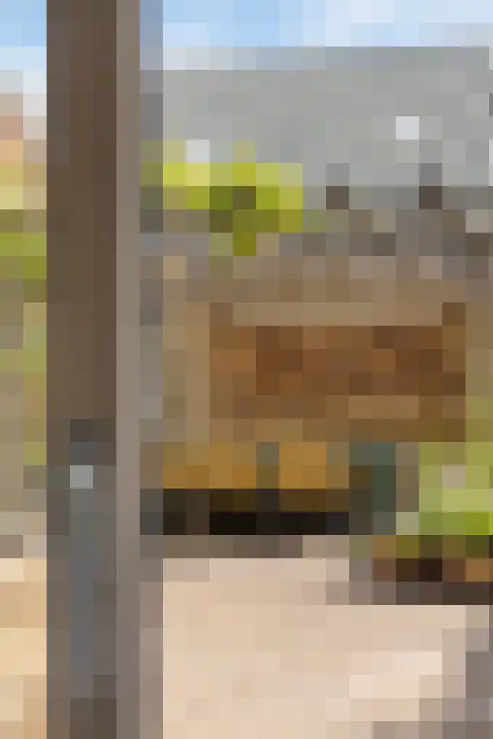 Frits Koolhovenweg 53 Soesterberg thumbnail 32