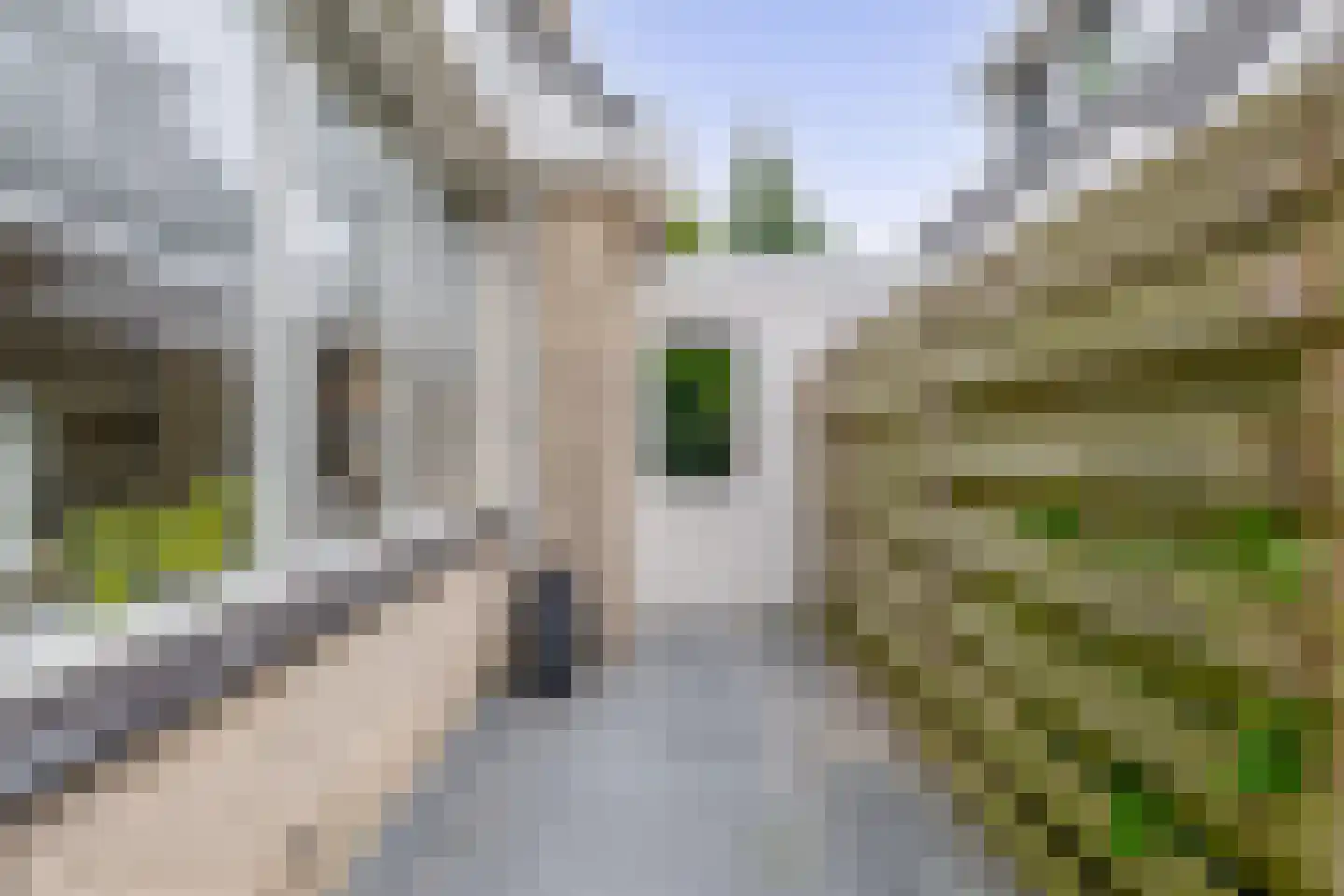 Frits Kruitstraat 20 Schagen thumbnail 16