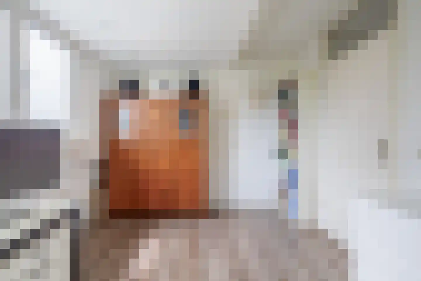 Frits Kruitstraat 20 Schagen thumbnail 30