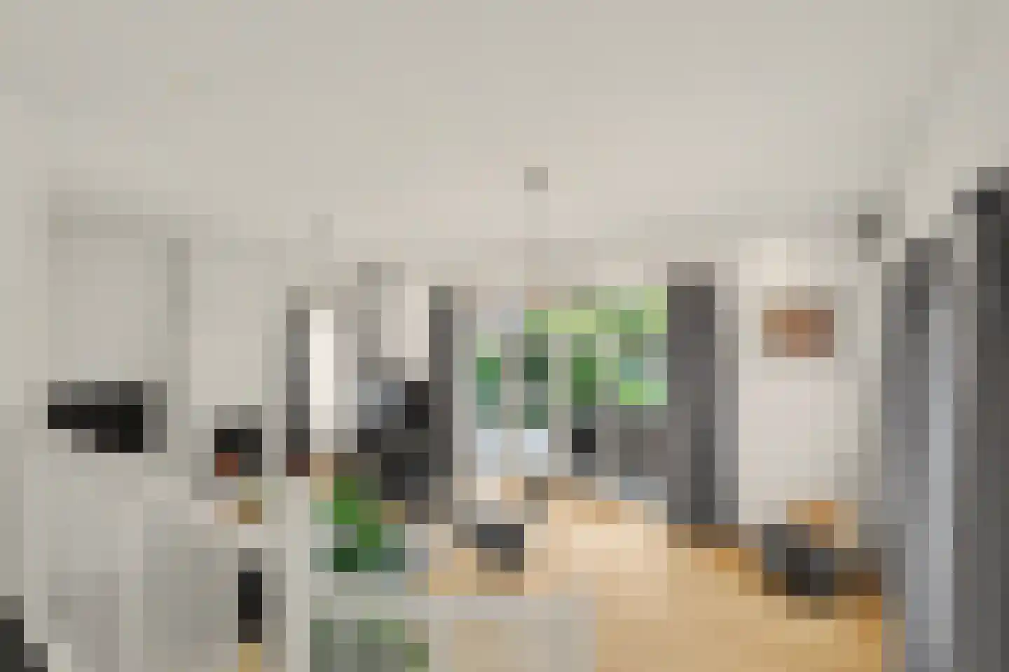 Frits Peutzstraat 15 Venlo thumbnail 12