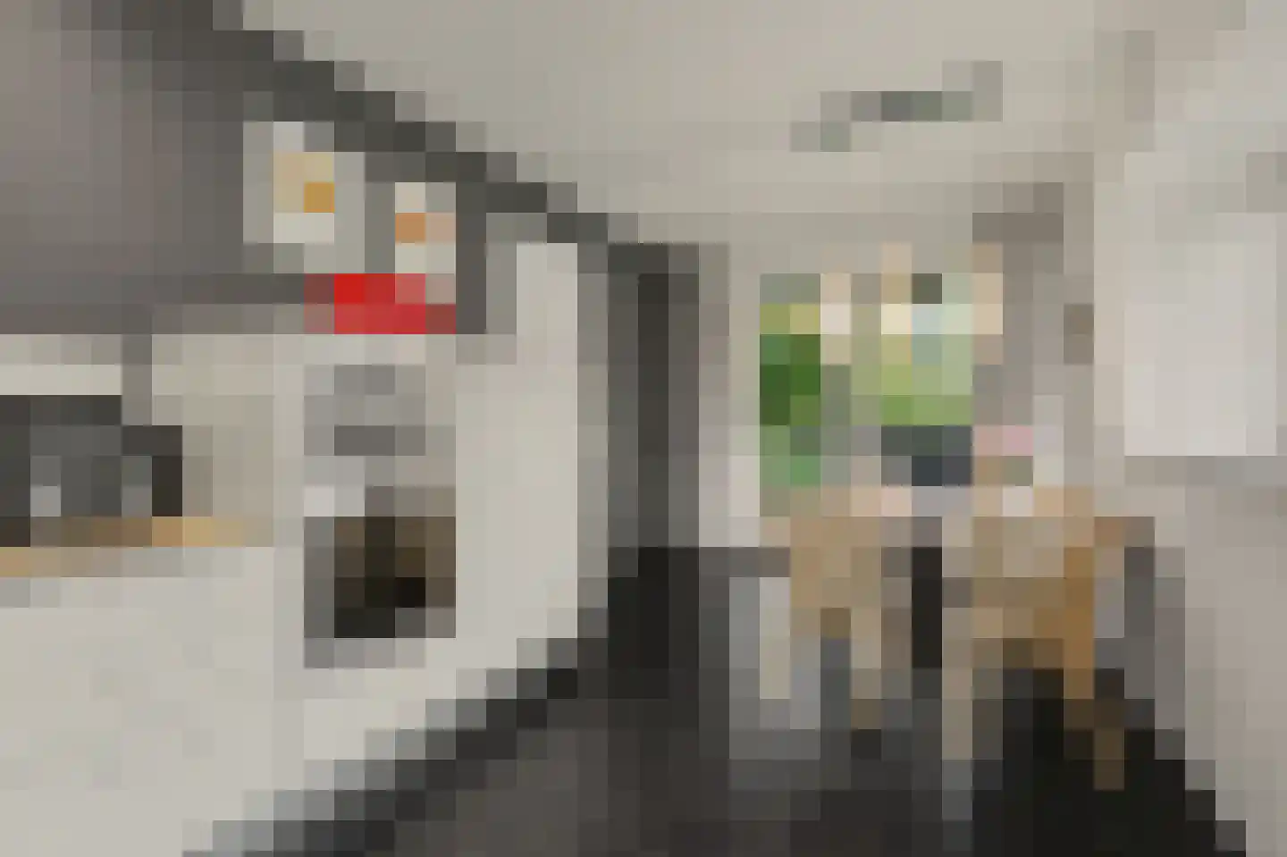 Frits Peutzstraat 15 Venlo thumbnail 14