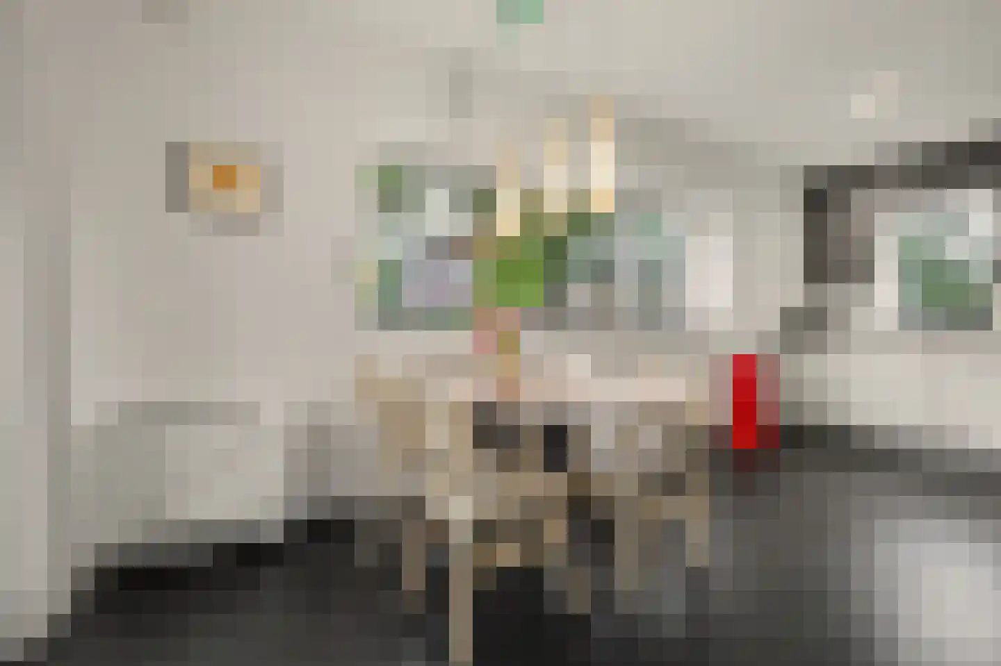 Frits Peutzstraat 15 Venlo thumbnail 16
