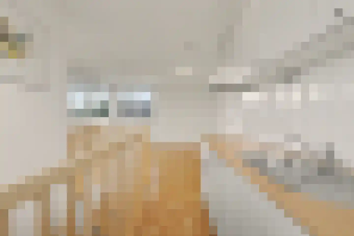 Frits Peutzstraat 15 Venlo thumbnail 30