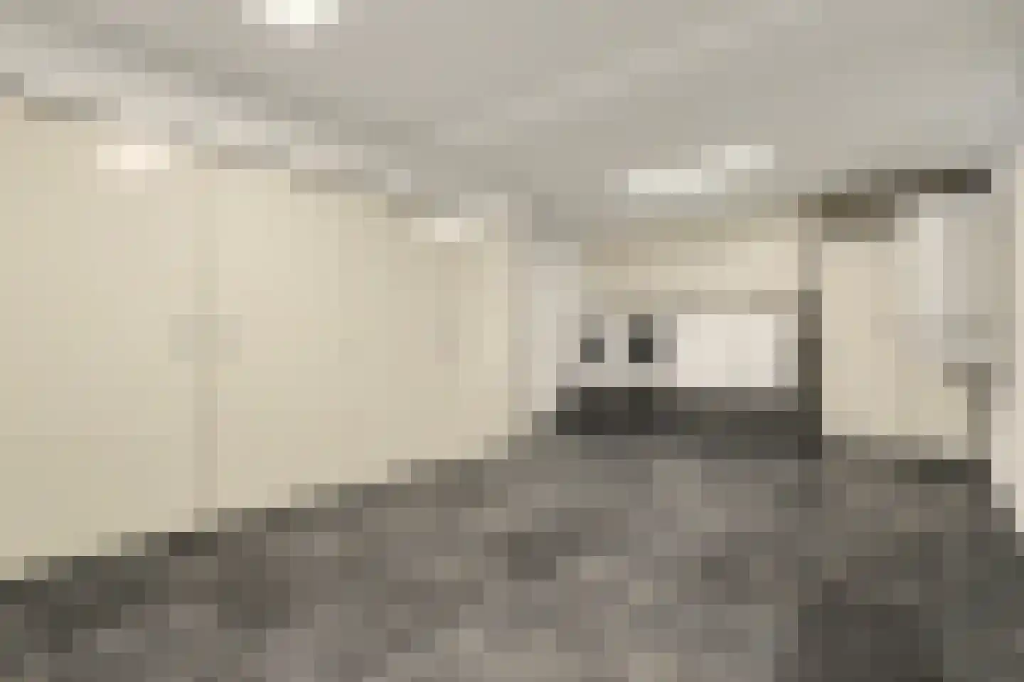 Frits Peutzstraat 15 Venlo thumbnail 37