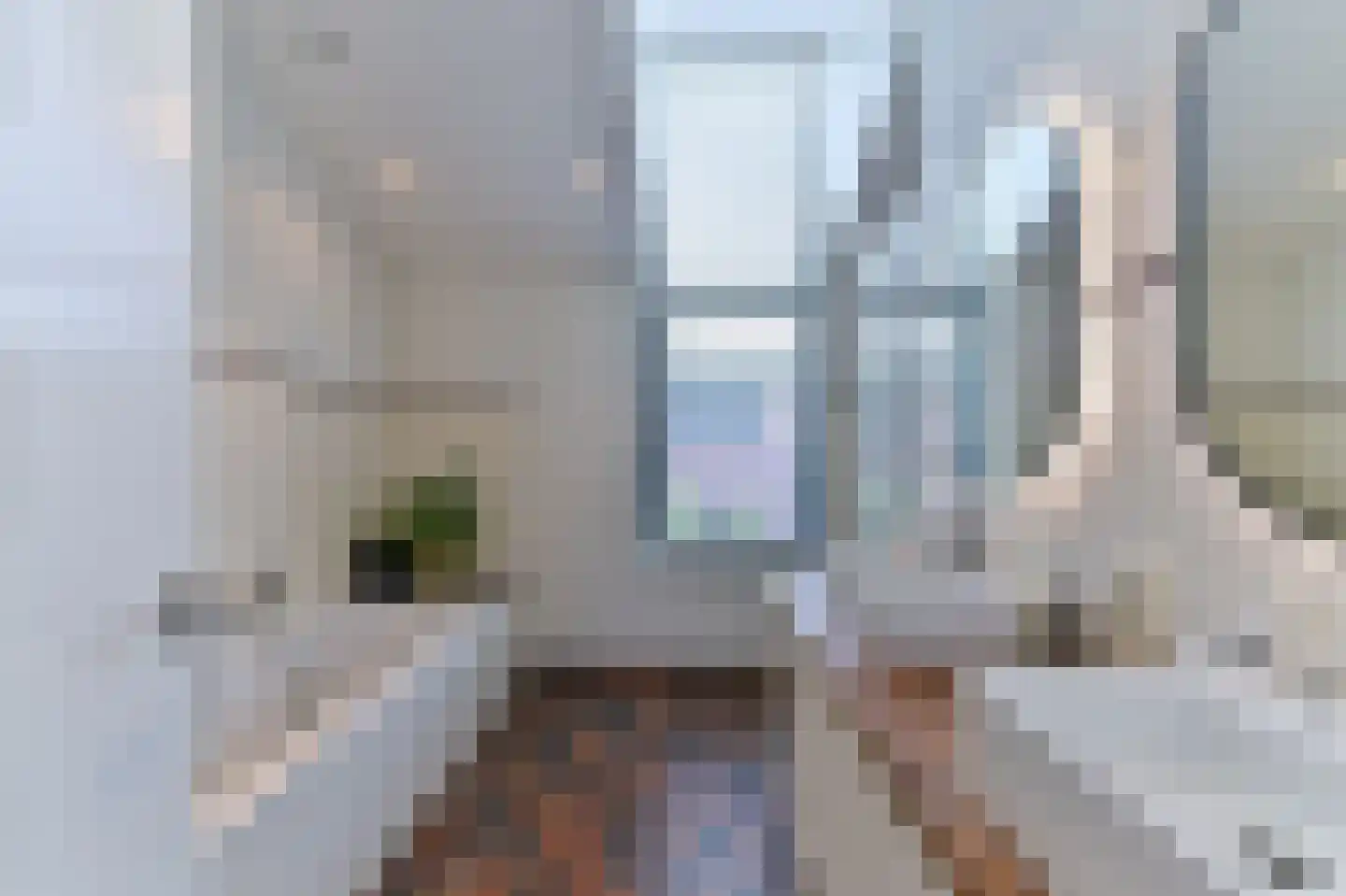 Frits Peutzstraat 16 Venlo thumbnail 15