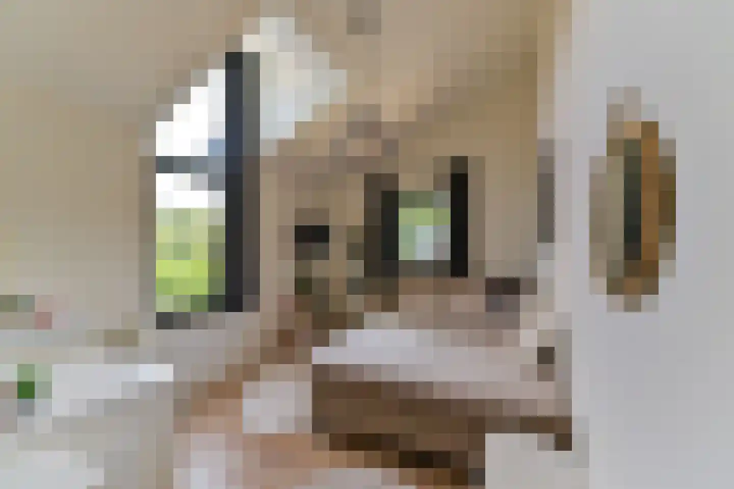 Frits Peutzstraat 16 Venlo thumbnail 16