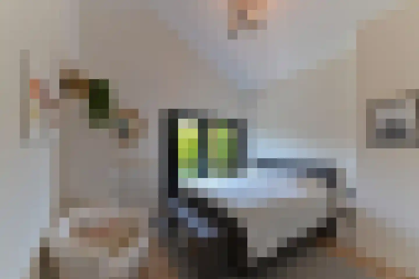 Frits Peutzstraat 16 Venlo thumbnail 19