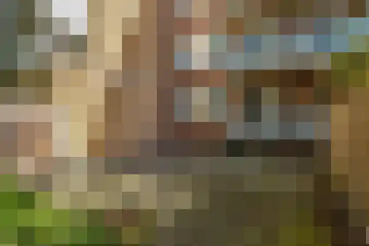 Frits Ruysstraat 39 D Rotterdam thumbnail 14