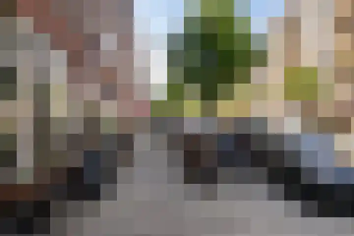 Frits Ruysstraat 39 D Rotterdam thumbnail 21
