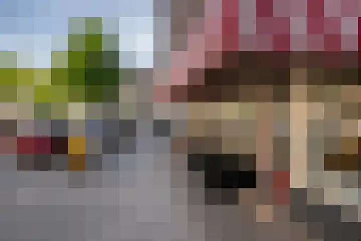 Frits Ruysstraat 39 D Rotterdam thumbnail 22
